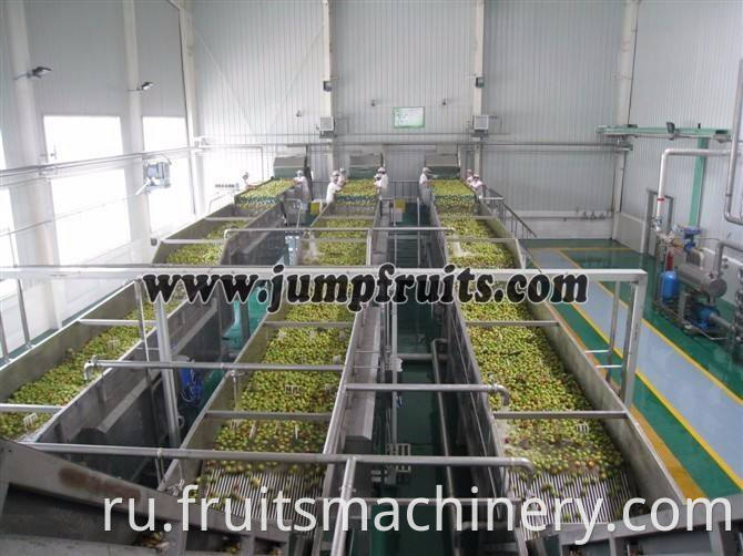 Small scale date pulp juice concentrate processing machine